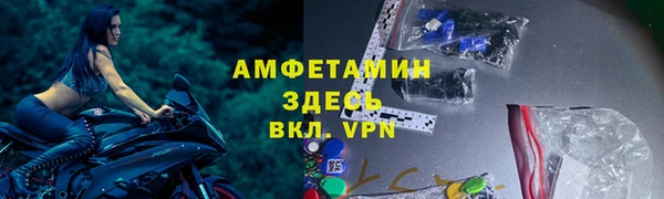сатива Володарск