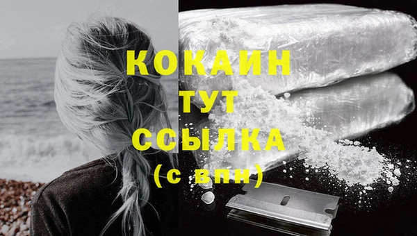 молекула духа Волоколамск