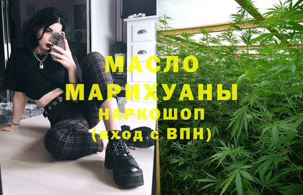 молекула духа Волоколамск