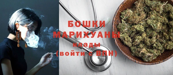 сатива Володарск