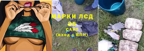 сатива Володарск