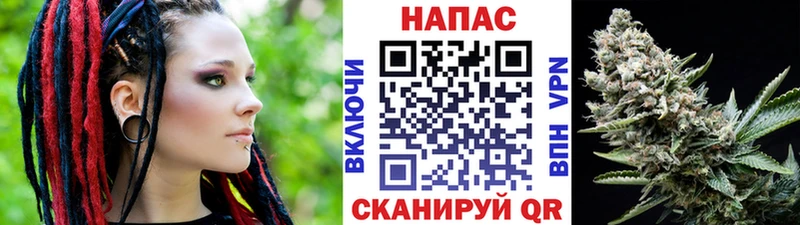 Марихуана OG Kush  Купить закладки  Приморско-Ахтарск 